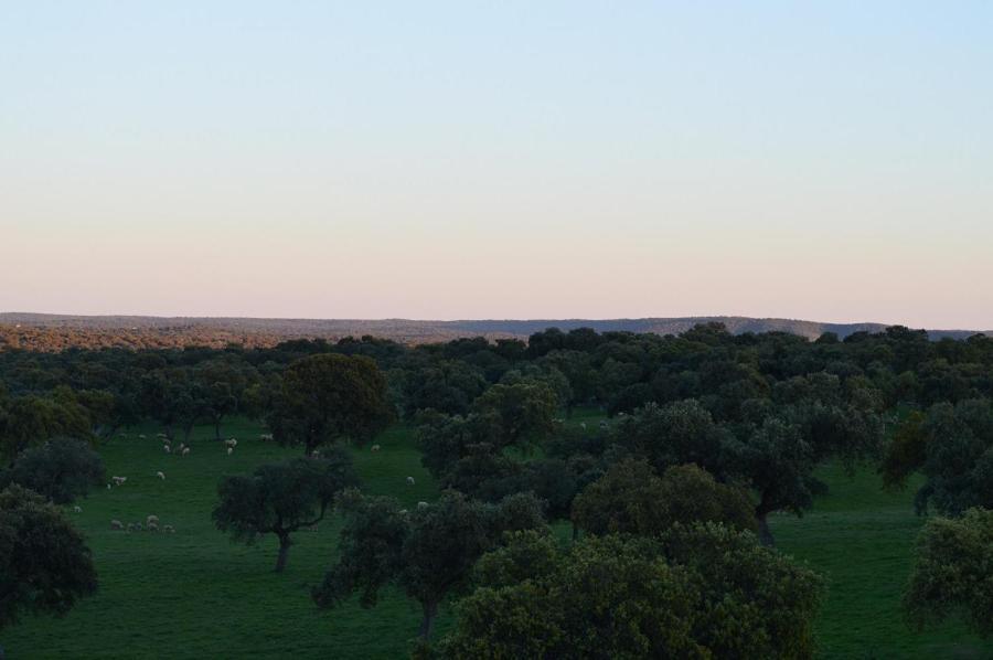 Cortijo Charcollana Βίλα Pozoblanco Εξωτερικό φωτογραφία