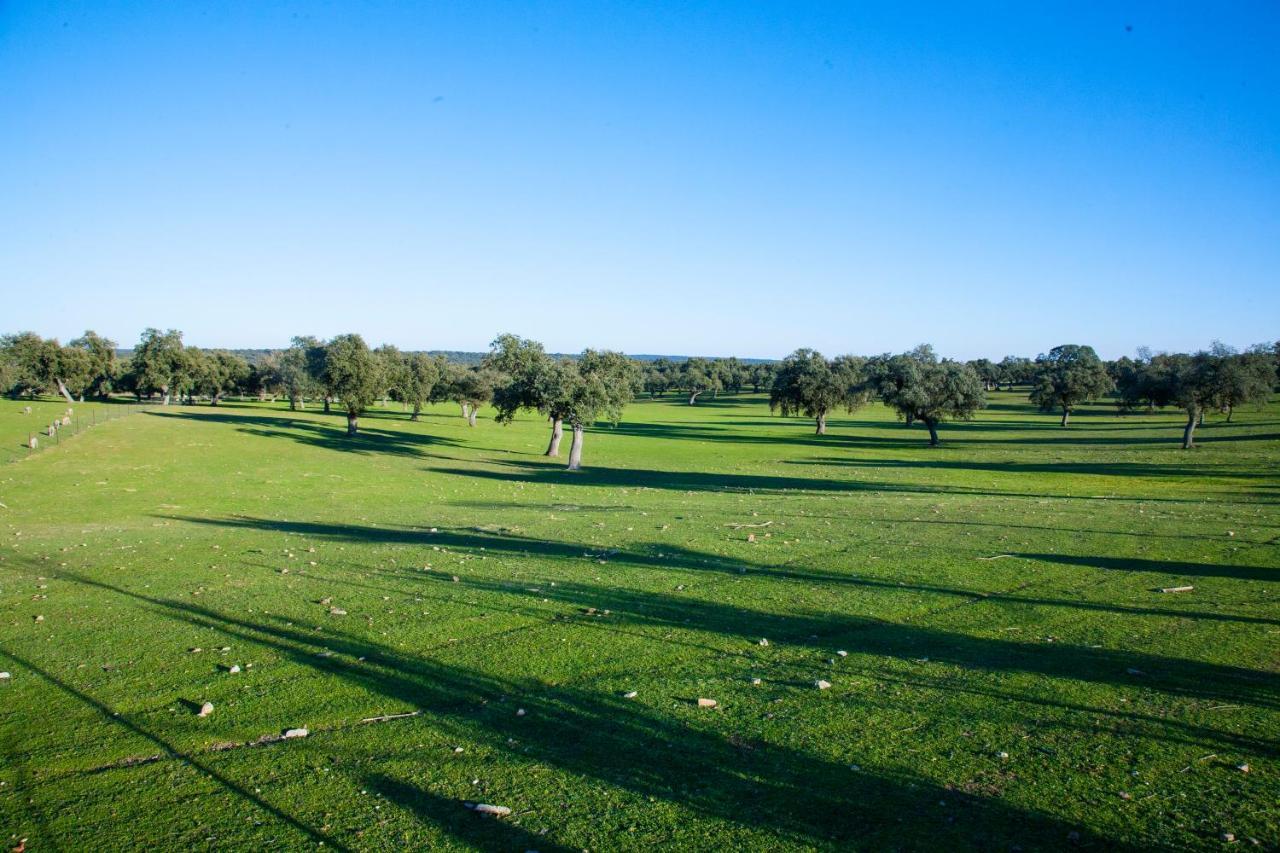 Cortijo Charcollana Βίλα Pozoblanco Εξωτερικό φωτογραφία