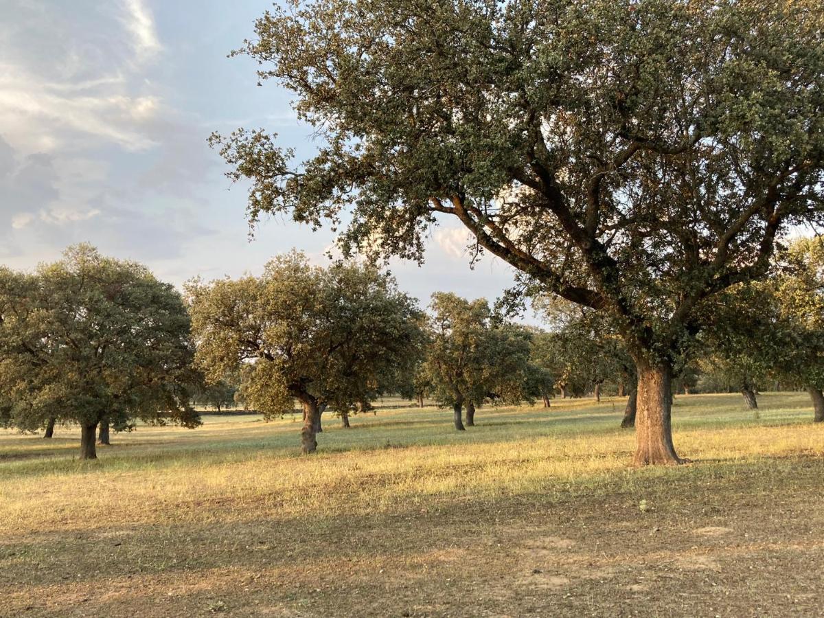 Cortijo Charcollana Βίλα Pozoblanco Εξωτερικό φωτογραφία